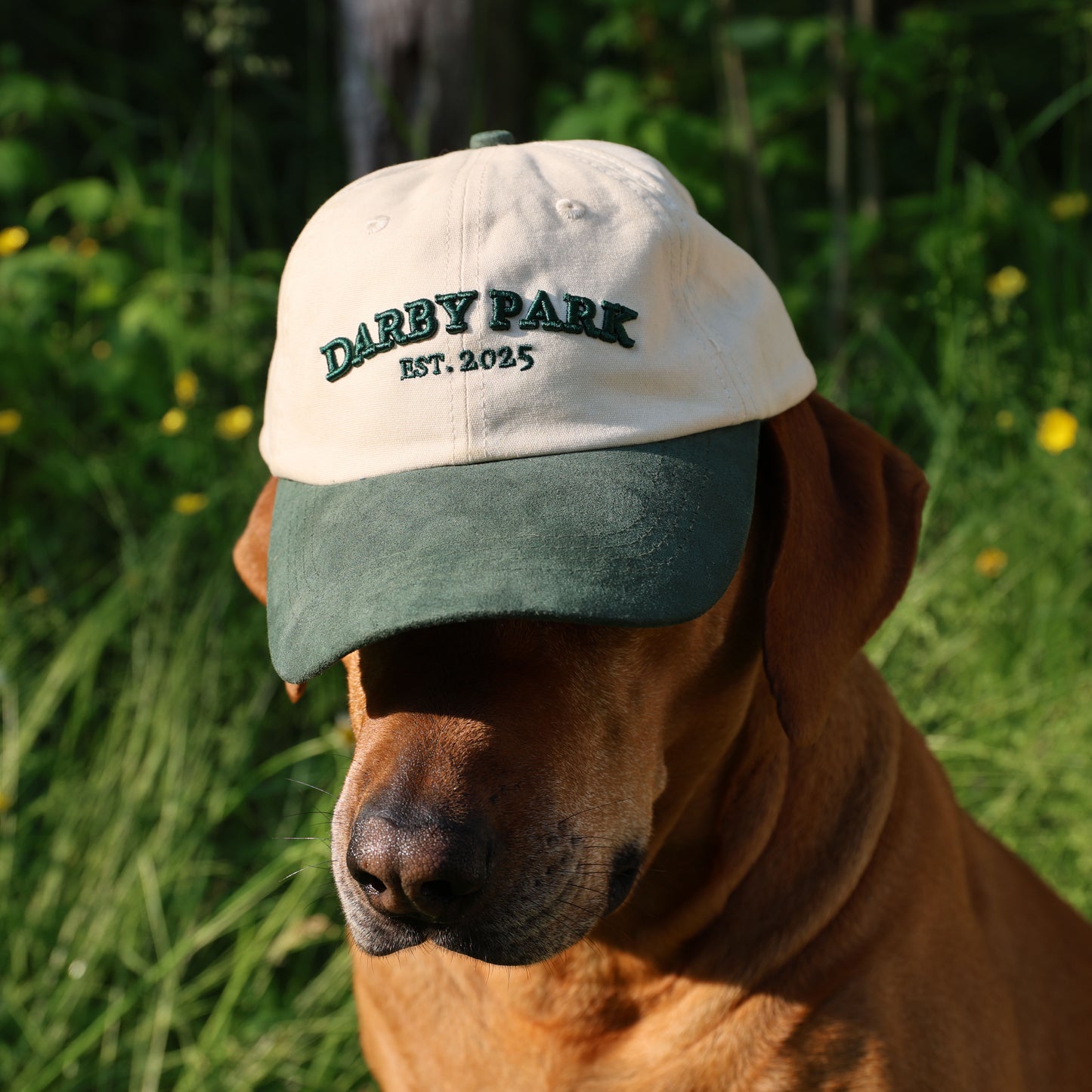 The Canvas Cap